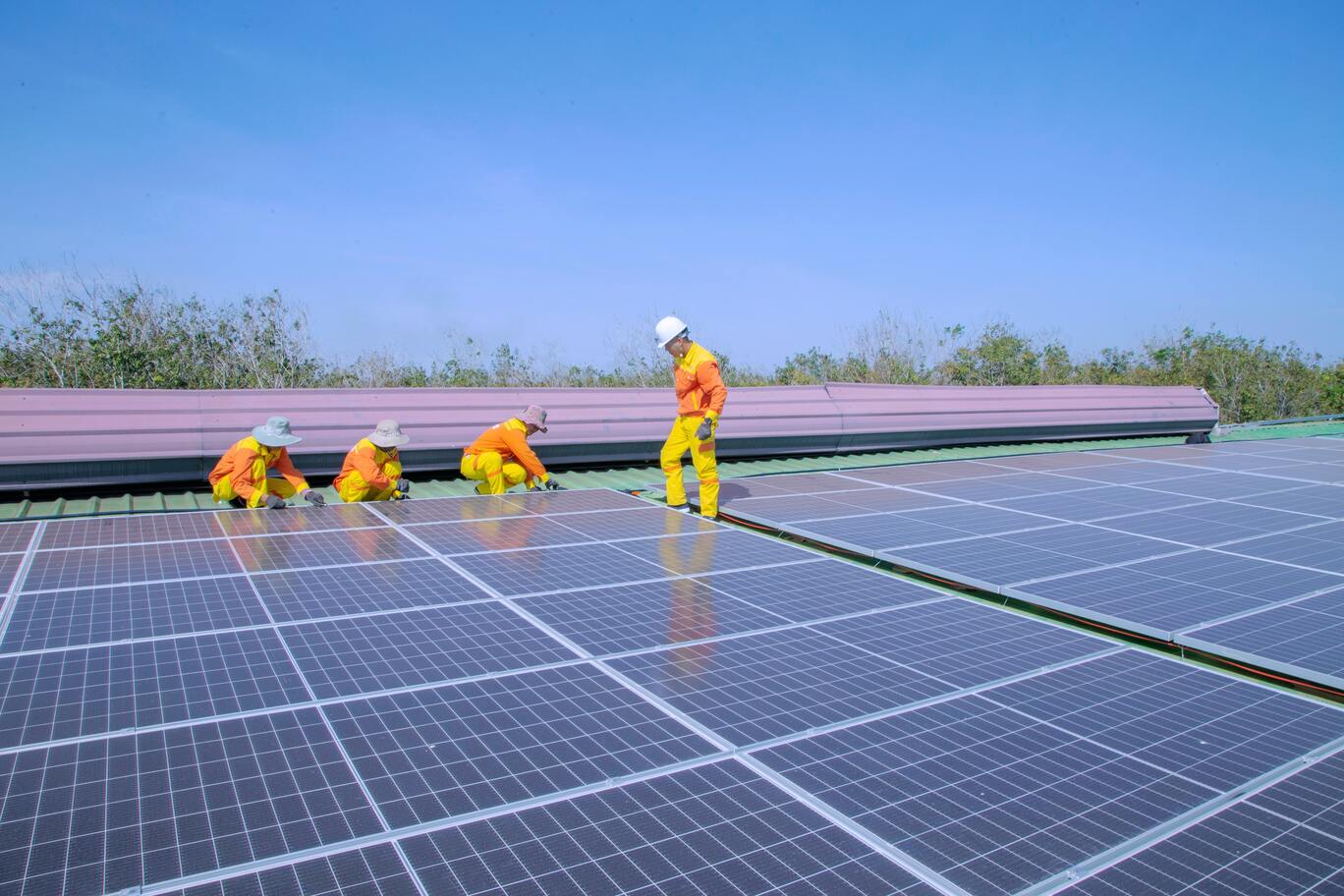 Servicios de obra proyectos de energias renovables